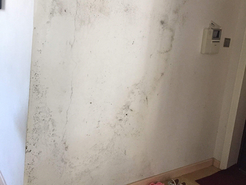 乳膠漆墻面有裂痕怎么翻新？神宮天巧熱心分享墻面處理小訣竅